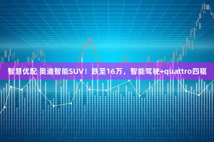 智慧优配 奥迪智能SUV！跌至16万，智能驾驶+quattro四驱