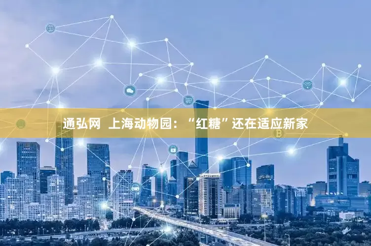 通弘网 上海动物园:“红糖”还在适应新家