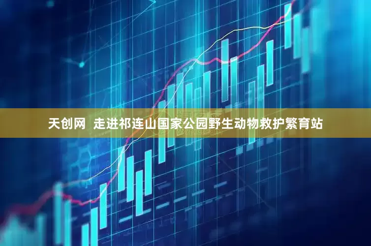 天创网  走进祁连山国家公园野生动物救护繁育站