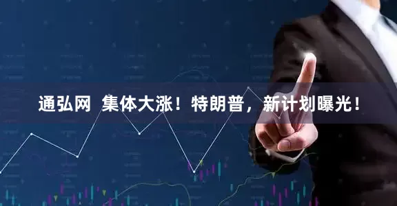 通弘网  集体大涨！特朗普，新计划曝光！