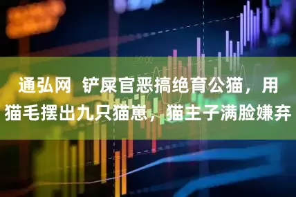 通弘网  铲屎官恶搞绝育公猫，用猫毛摆出九只猫崽，猫主子满脸嫌弃