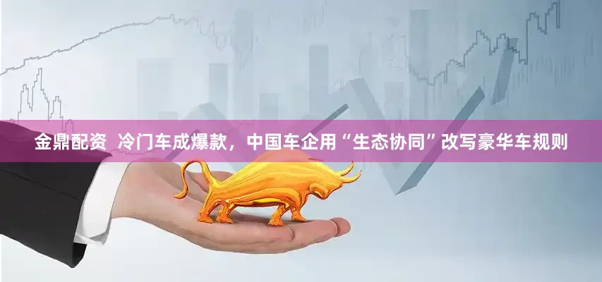 金鼎配资  冷门车成爆款，中国车企用“生态协同”改写豪华车规则
