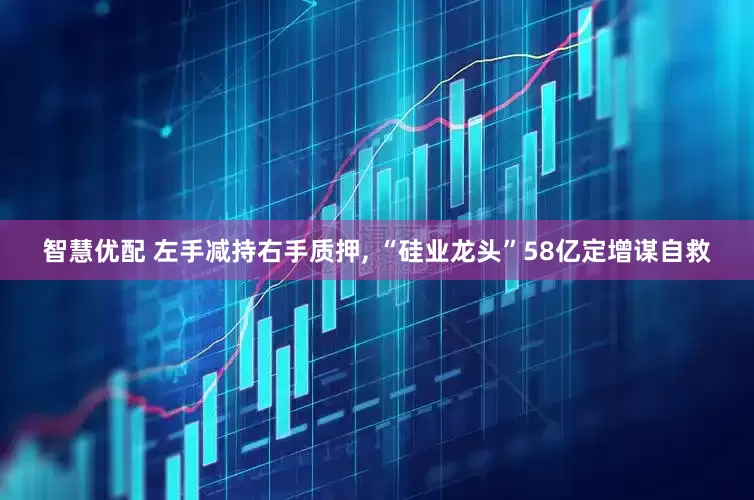 智慧优配 左手减持右手质押, “硅业龙头”58亿定增谋自救